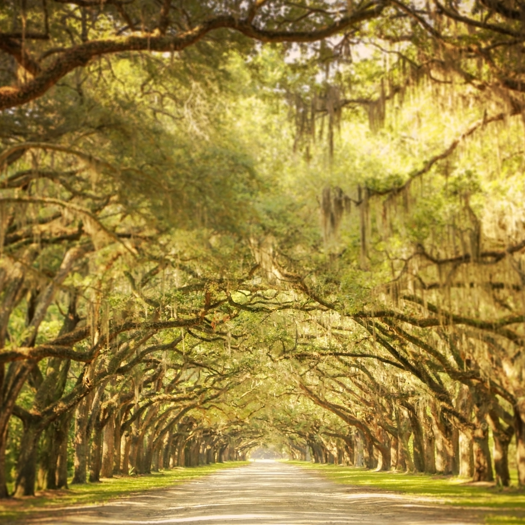 Road Trip in Georgia, USA