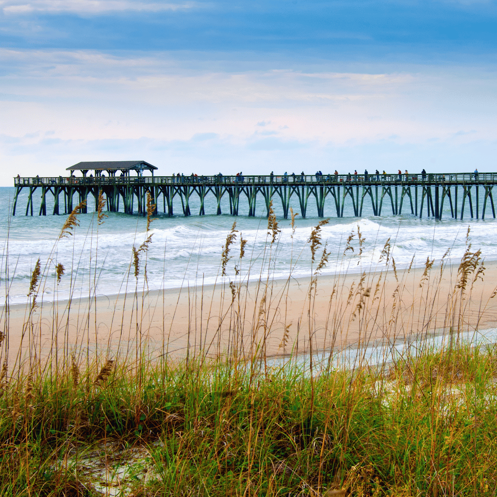 South Carolina Shores