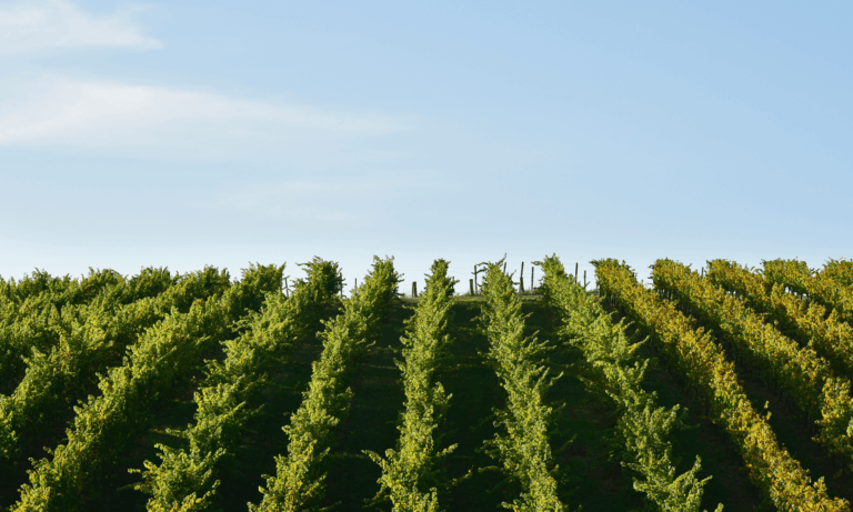 South Australia Adelaide Hills